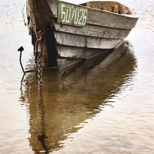 Photo #12299114