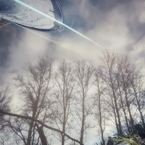 Photo #12299426