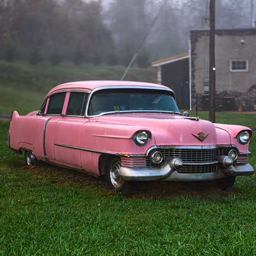 Photo #12299757