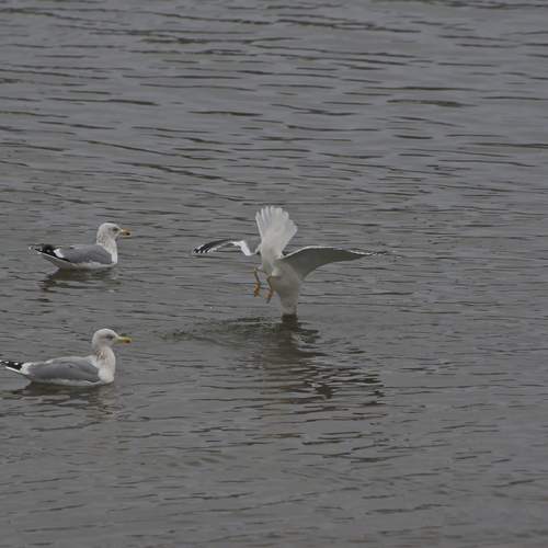 Photo #12299789