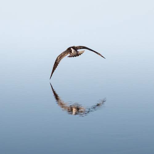 Photo #12300153