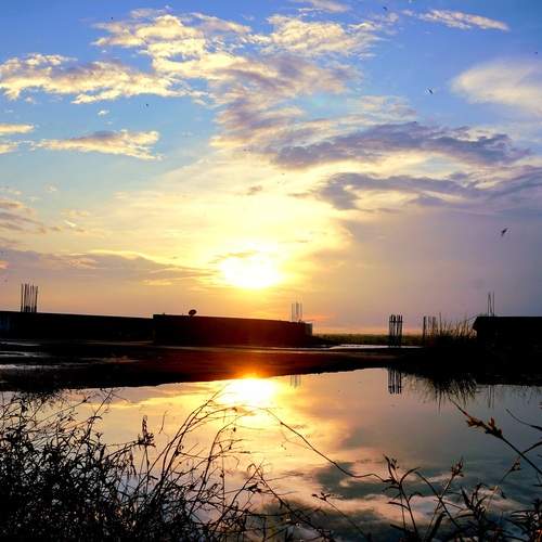 Photo #12300182