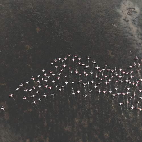 Photo #12300356