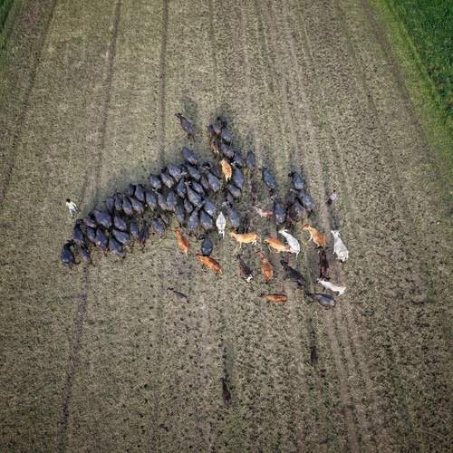 Photo #12300357