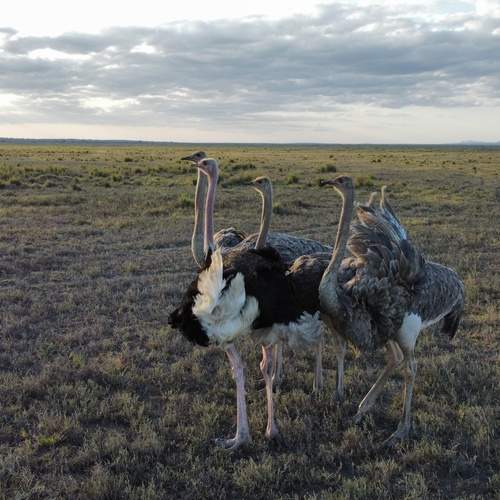 Photo #12300418