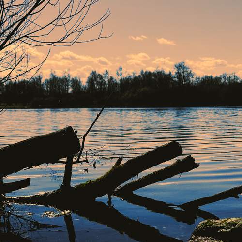 Photo #12300431
