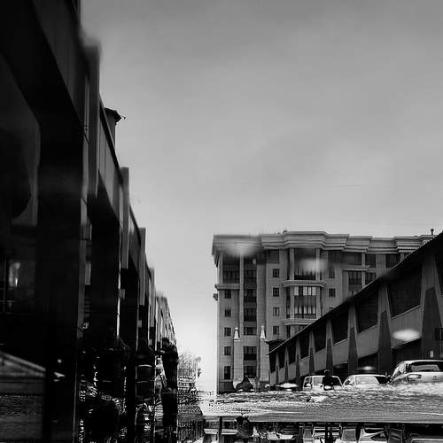 Photo #12300432