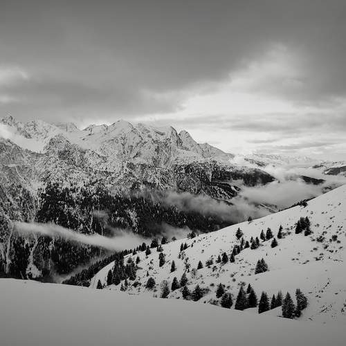 Photo #12300554