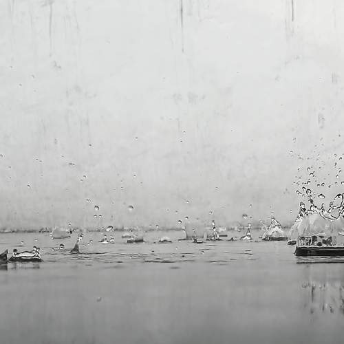 The Rain Speaks First