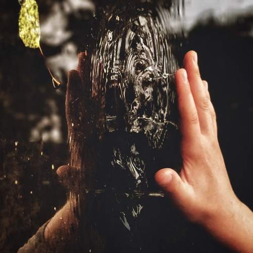 Photo #12300697