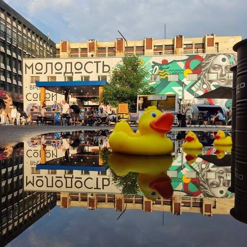 Photo #12300835