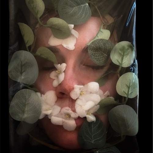 Photo #12300879