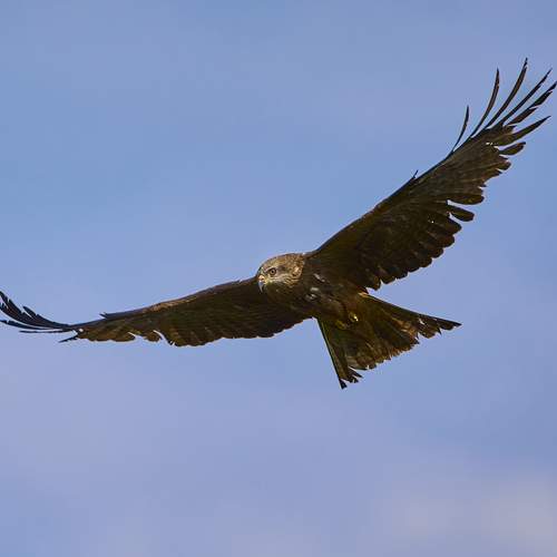 Фотография #12300970