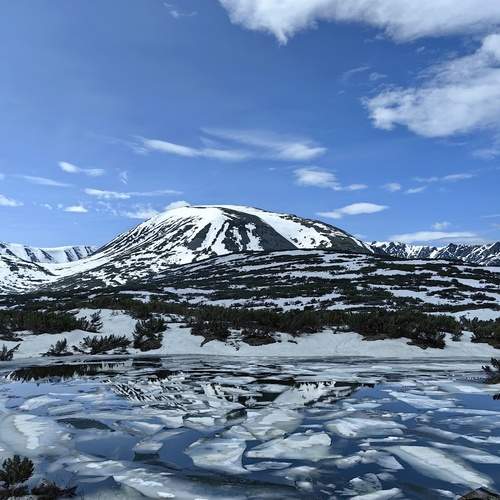 Photo #12301081