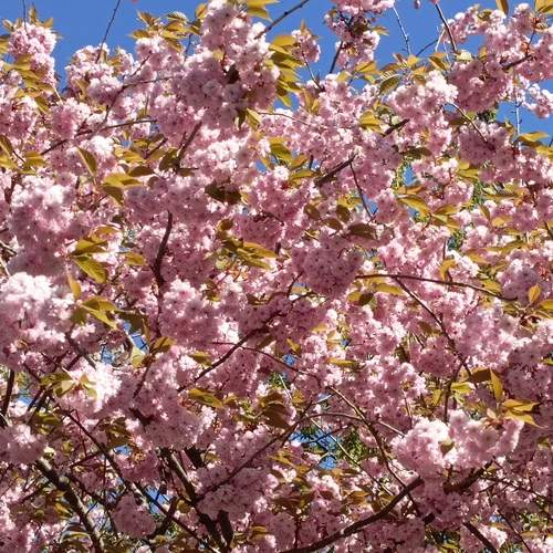 Photo #12301191