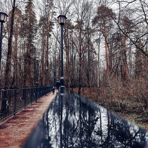 Photo #12301266