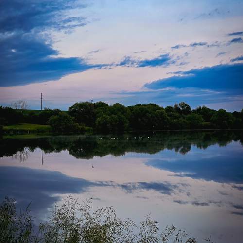 Photo #12301419