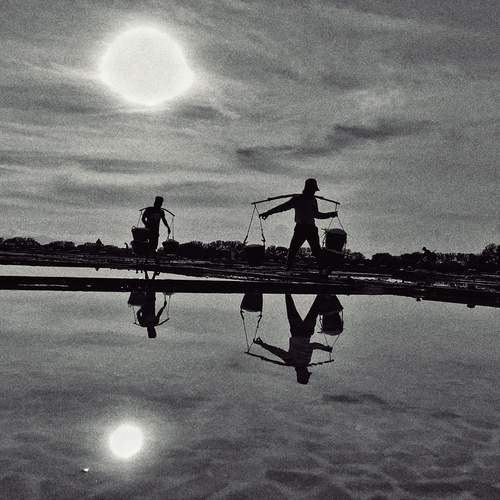 Photo #12301521