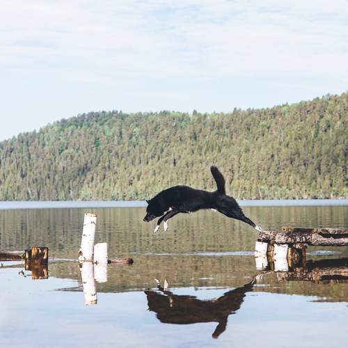 Photo #12301550