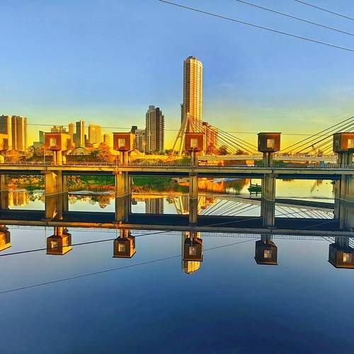 Photo #12301565