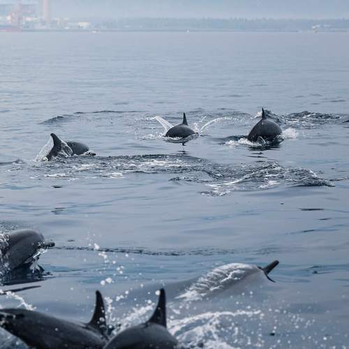 Photo #12301566