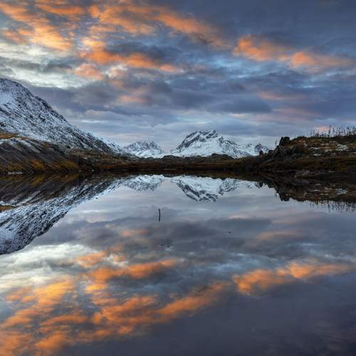 Photo #12301685