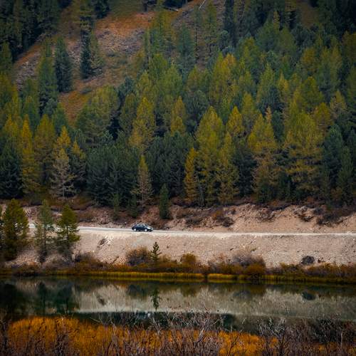 Colors of autumn Altai