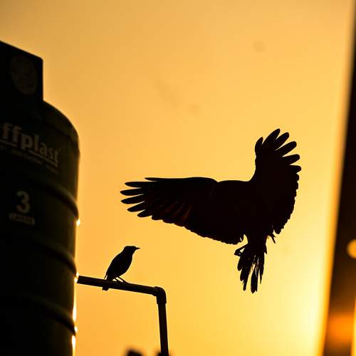 Photo #12302193