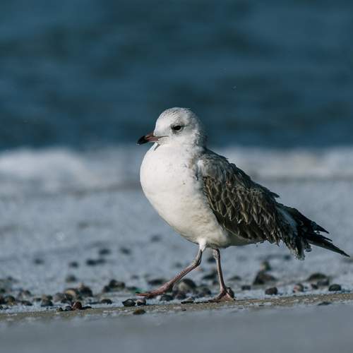 Photo #12302252