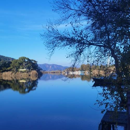 Photo #12302411