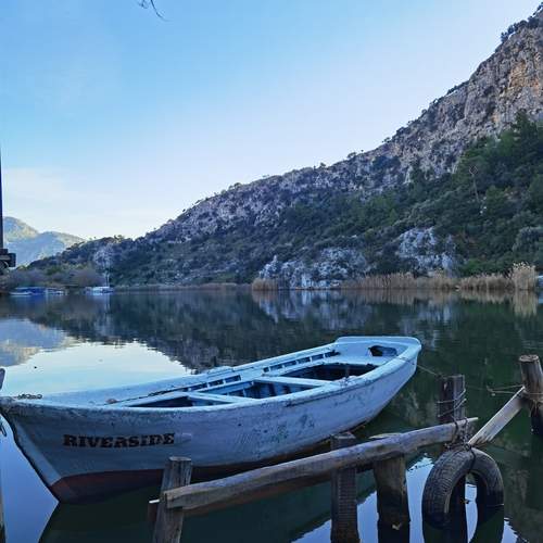 Photo #12302412