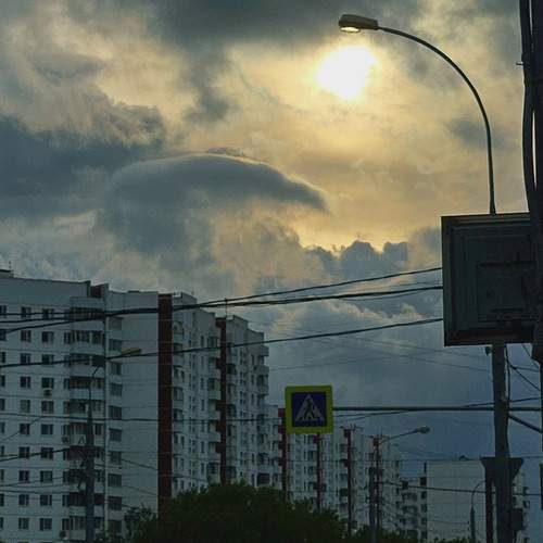 Photo #12302445