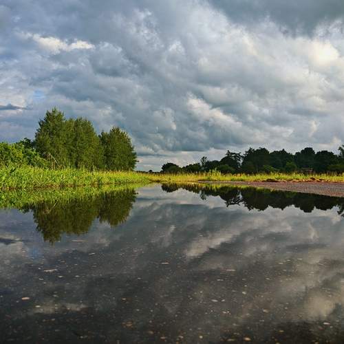 Photo #12302453