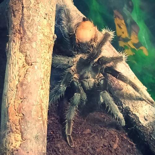 Photo #12302474