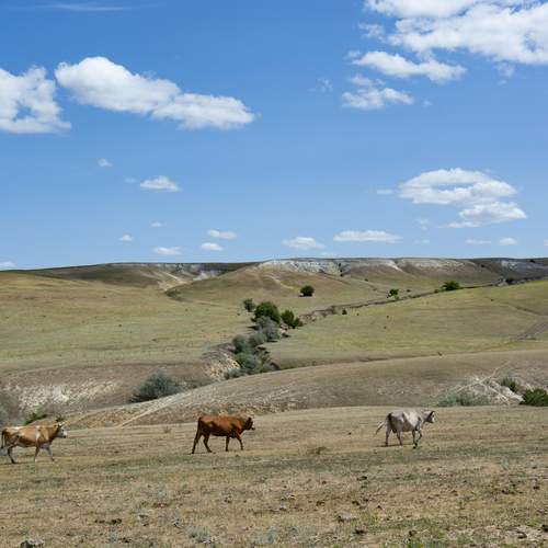 Photo #12302543