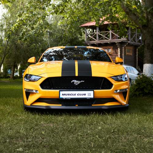 Photo #12302575