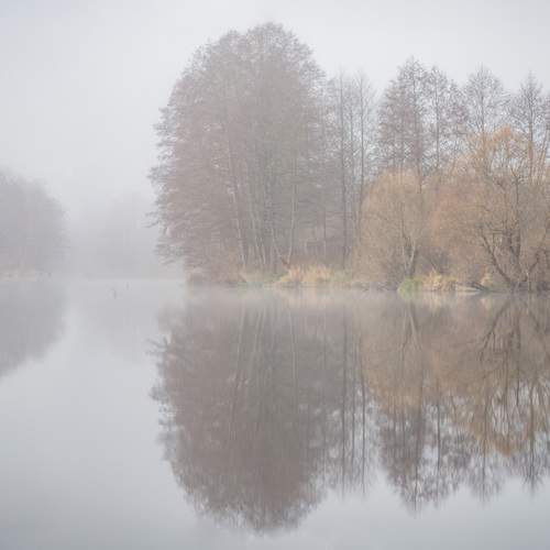 Photo #12302643