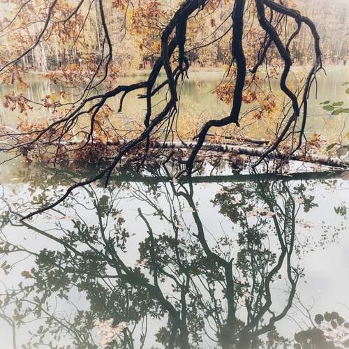 Photo #12302648