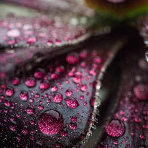 Photo #12302655