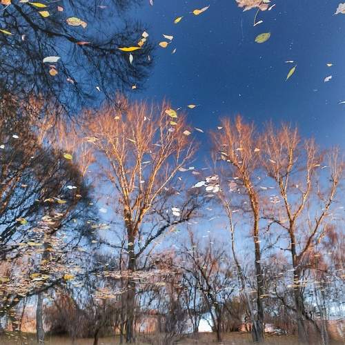 Photo #12302660