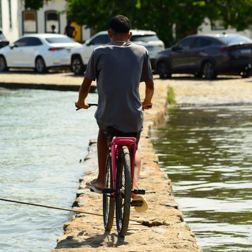 Photo #12303114