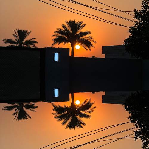 Photo #12303124