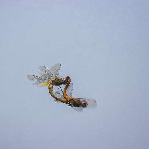 Photo #12303214