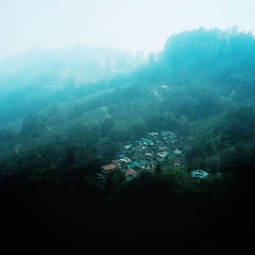 Photo #12303330