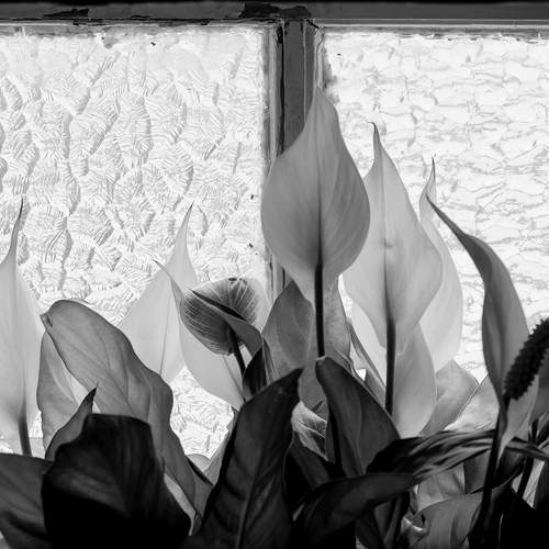 Photo #12303682