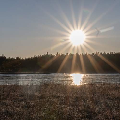 Photo #12303696
