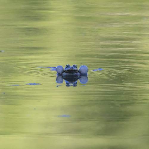 Photo #12303758
