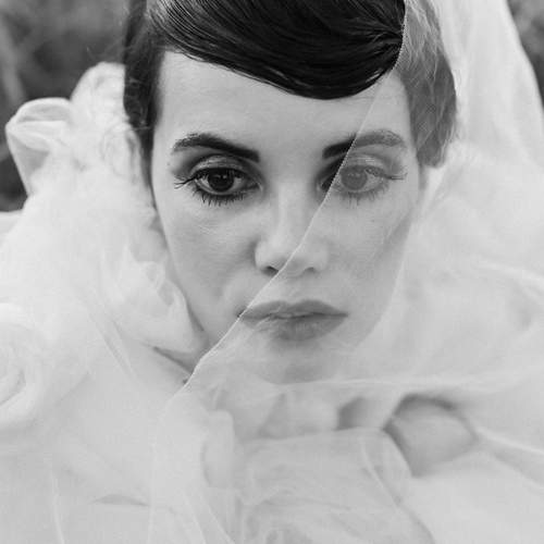 Photo #12303762