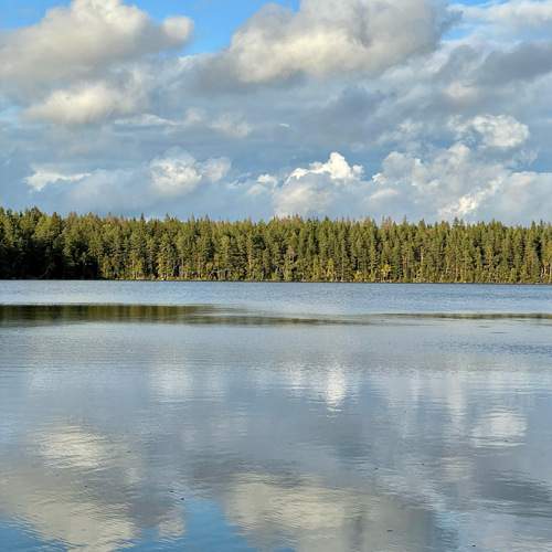 Photo #12303983