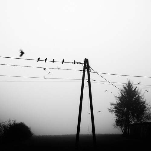 Photo #12304004